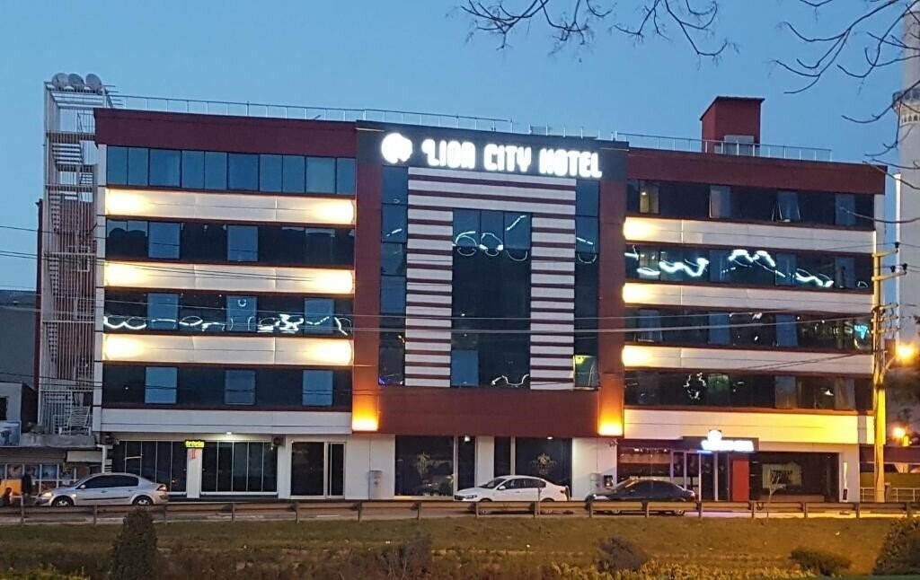 Отель Lion City Hotel 3*