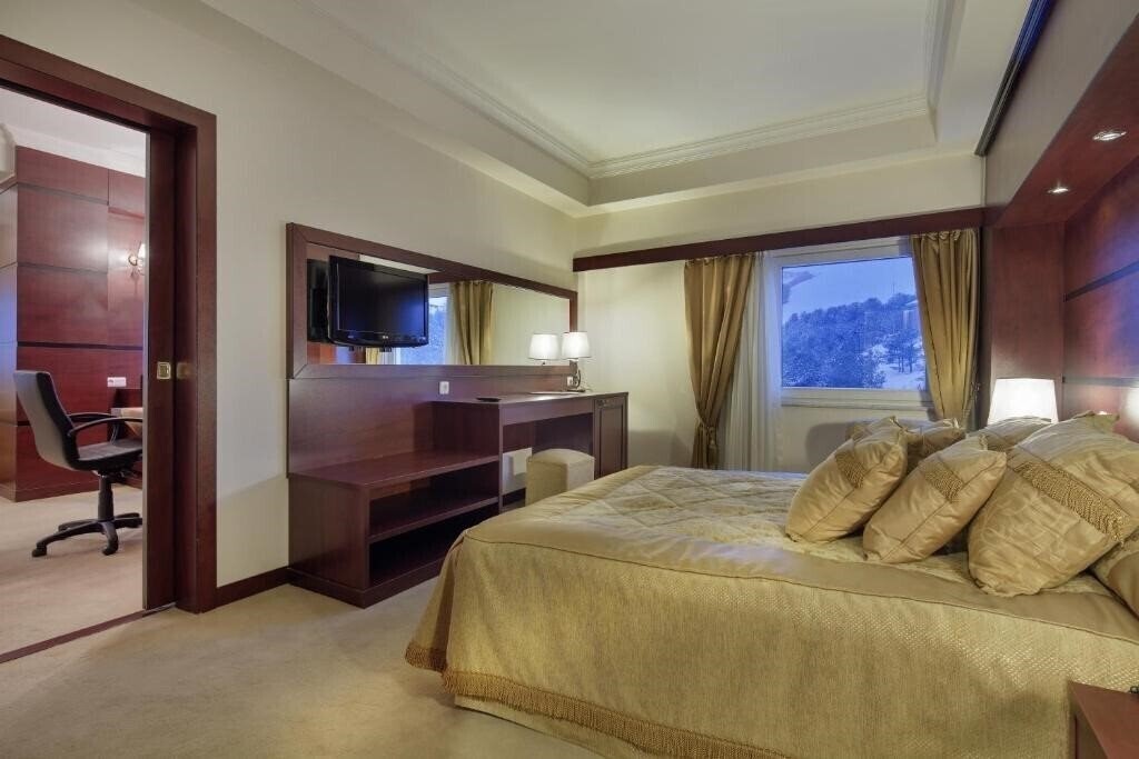 Фото Palan Ski & Convention Resort Hotel 4*