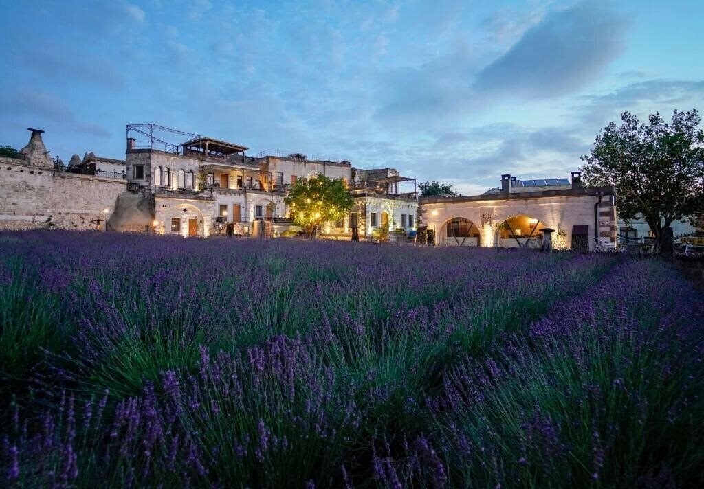 Фото Design Cave Hotel 3*