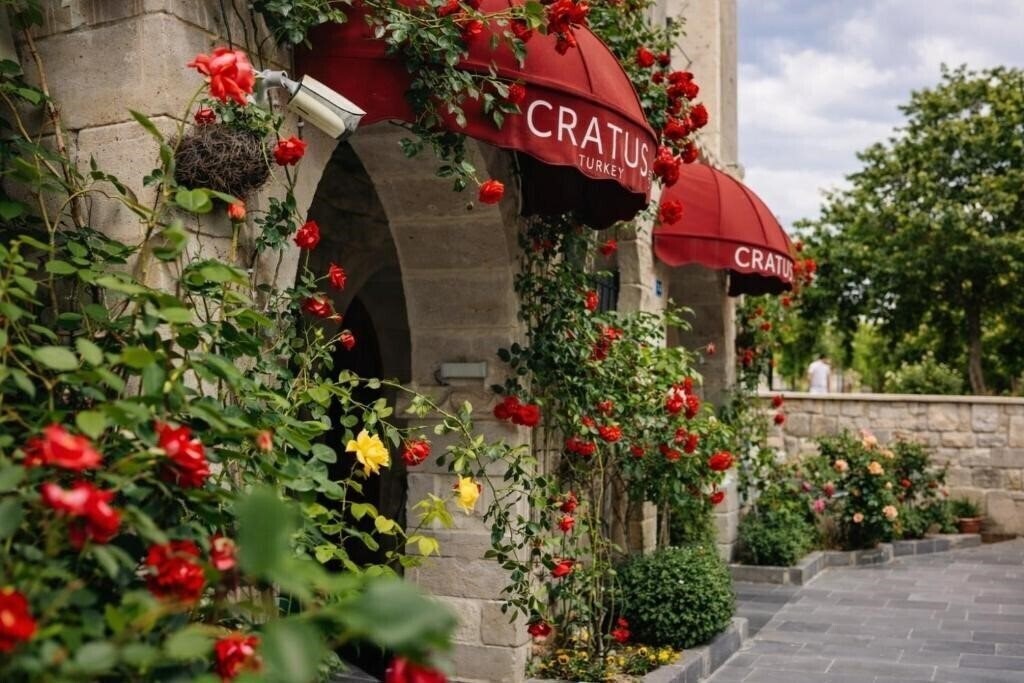 Изображение Cratus Stone Palace Hotel 4*