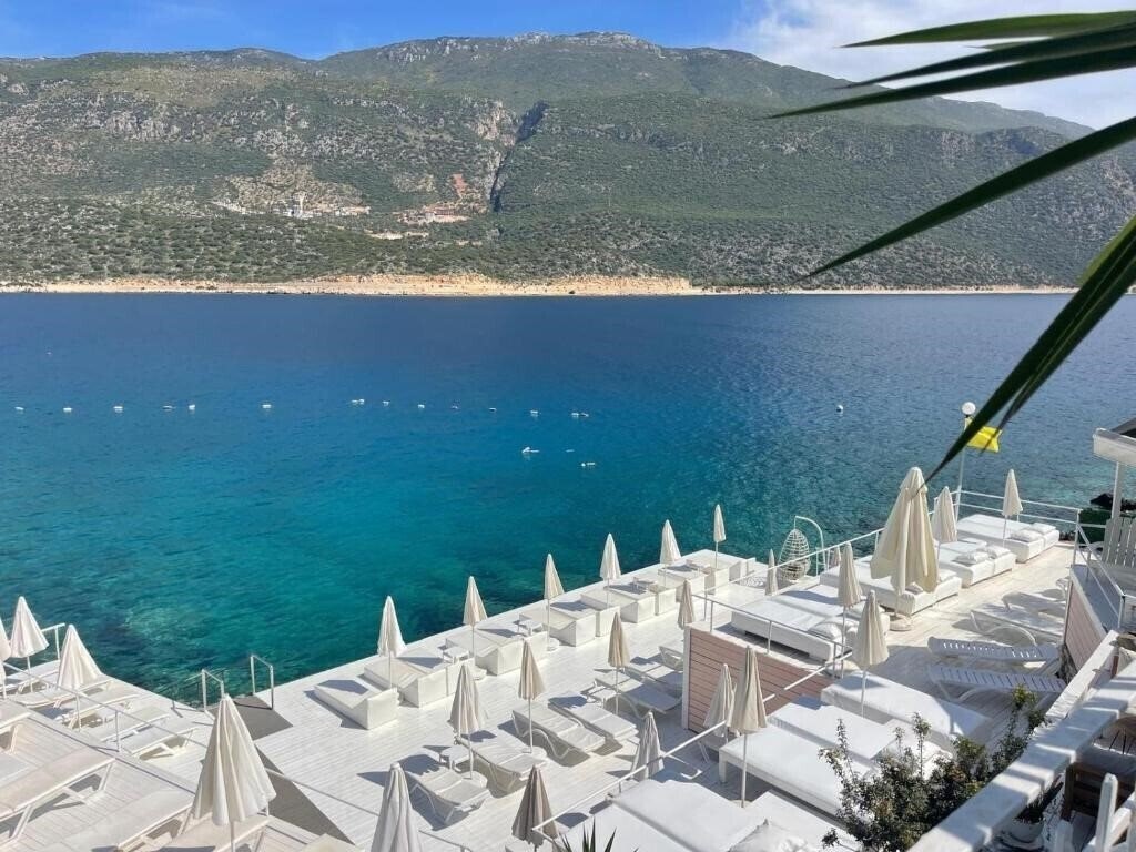 Картинка Club Capa Boutique 3*