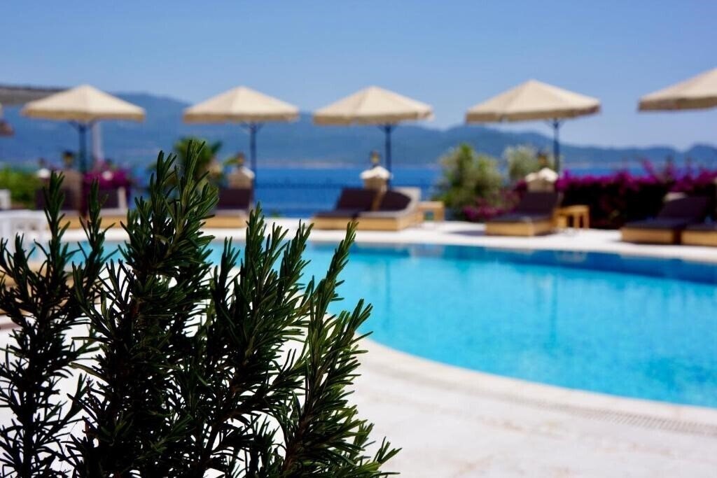 Зображення Villa Hotel Tamara 4*