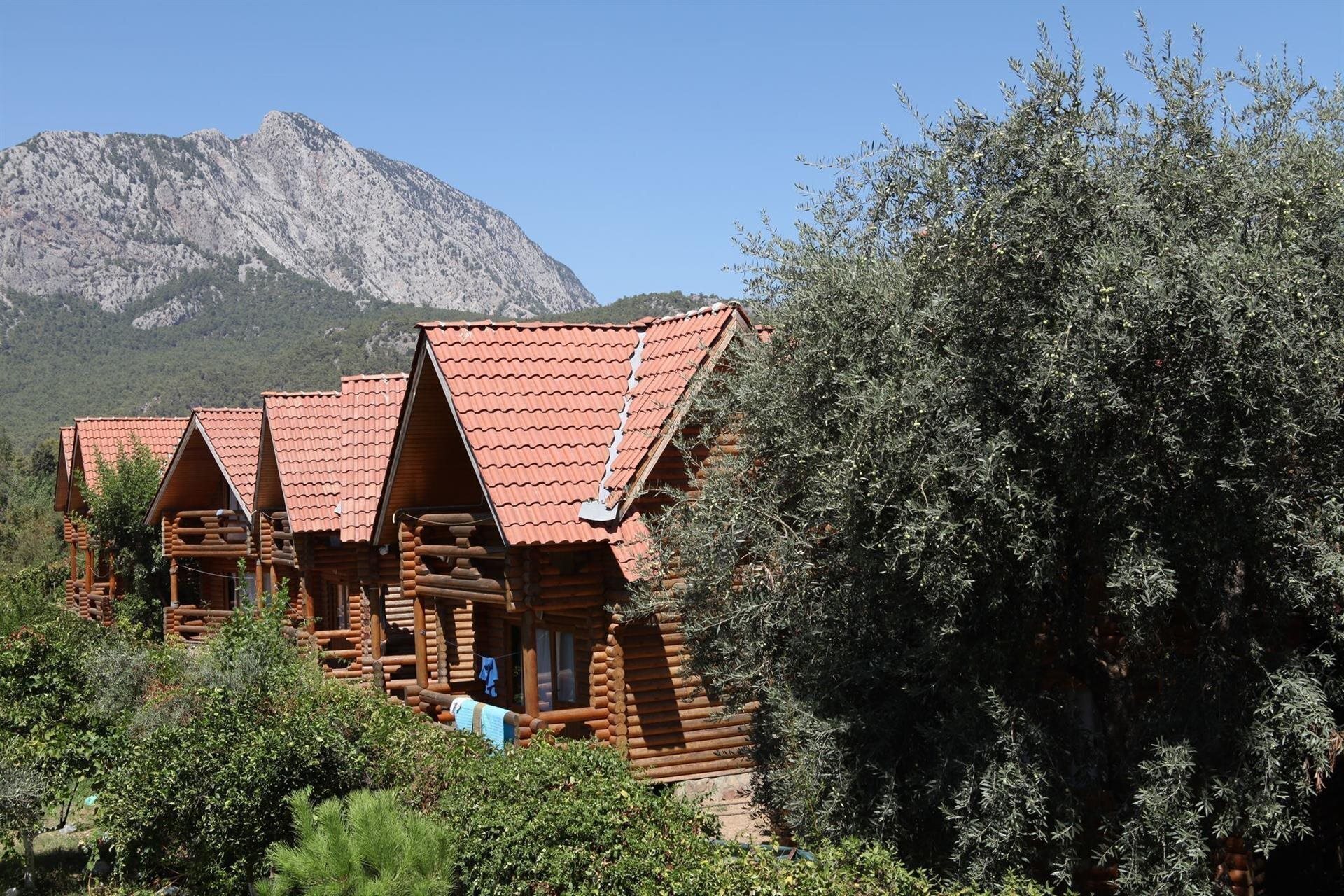 Фотографія Woodline Hotel 3*