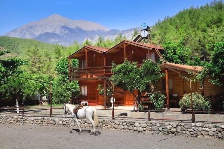 Отель Oranj Ranch Hotel 3*