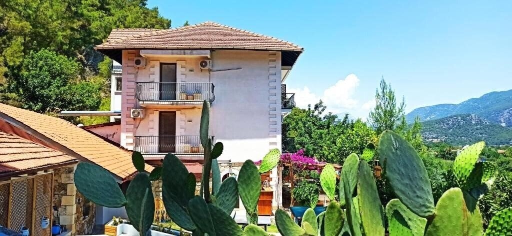 Отель Swiss Eviniz Hotel 2*