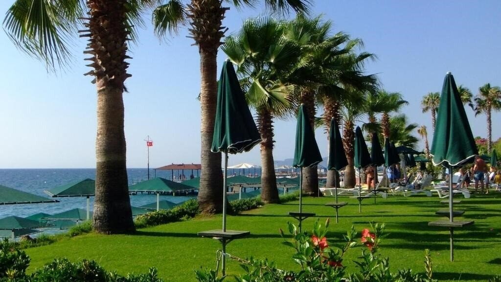 Фото Seagull Hotel 4*