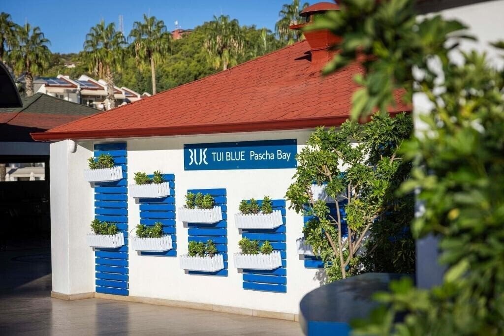 Зображення Tui Blue Pascha Bay 3*