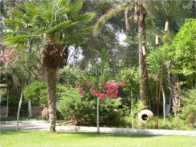 Фото Sentido Marina Suites (Only Adults From 16 Years Old) 4*