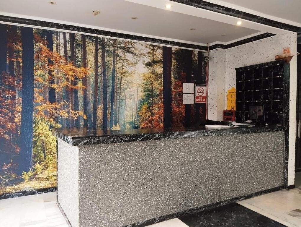 Готель Nes Class Hotel 2*