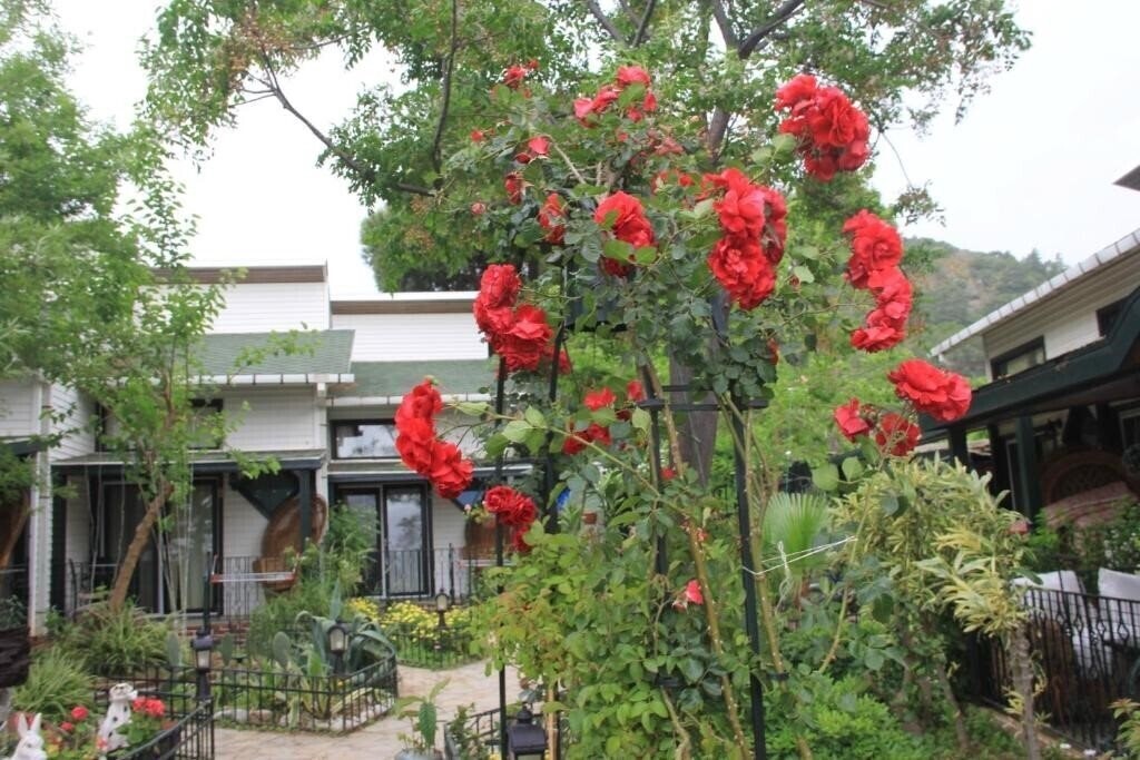 Фотография Beachwood Villas 3*