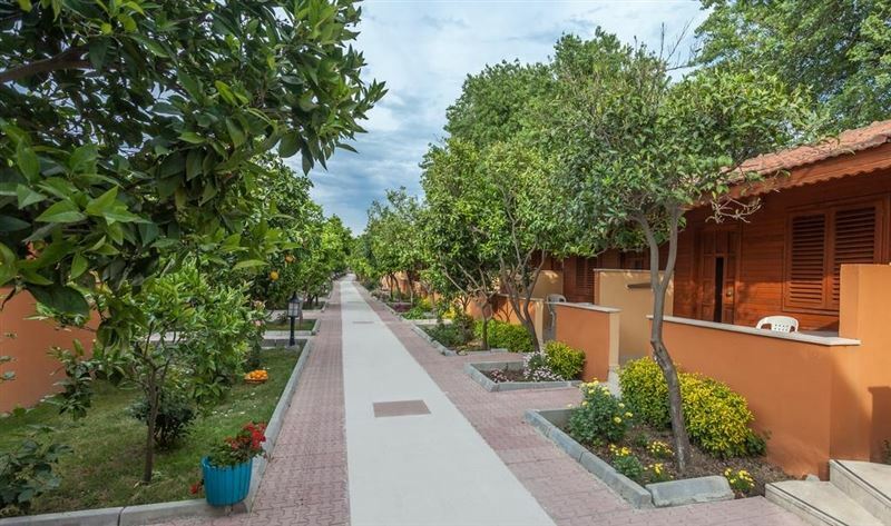 Зображення Ozlem Garden Hotel 3*