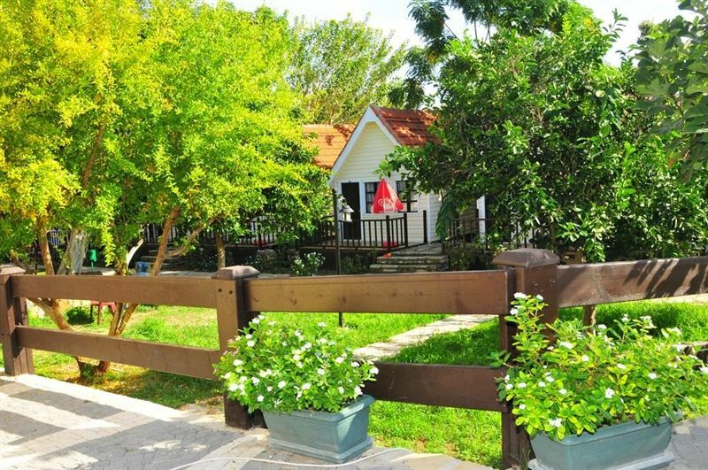 Зображення Clover Magic Nova Beach Hotel 3*