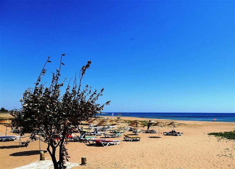 Фотографія Ryma Hotel 3*