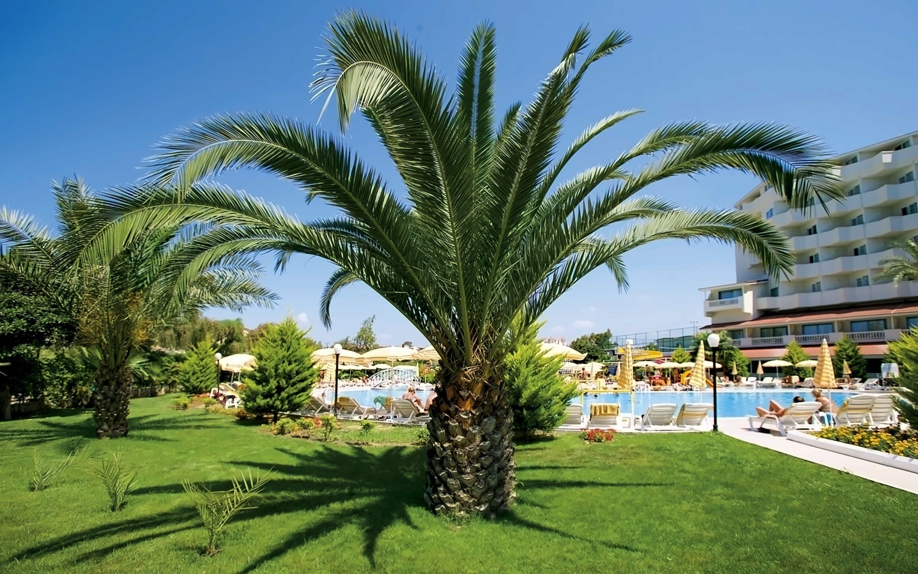 Зображення Febeach Hotel 4*