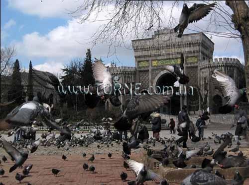 Отель Beynova Hotel 4*