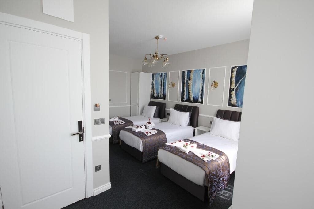Картинка Hotel Naumpasa Konagi 3*
