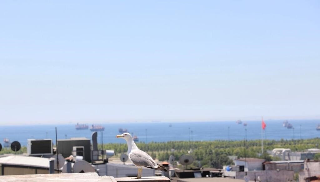 Фотография Istanbul Royal Hotel 4*