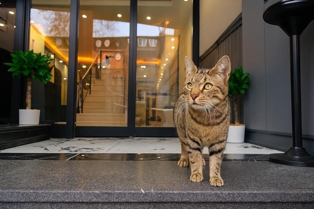 Готель Calenberg Hotel 3*
