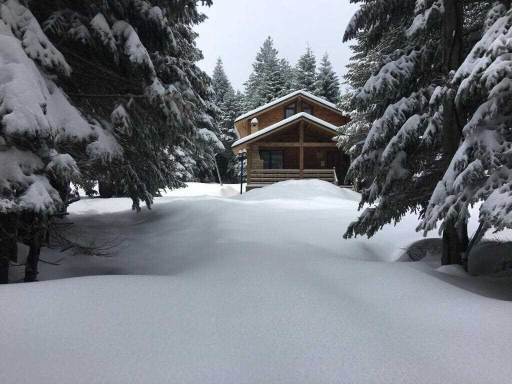 Готель Uludag Orman Koskleri 3*