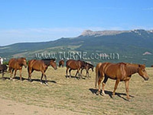 Зображення Аллюр отель без категории