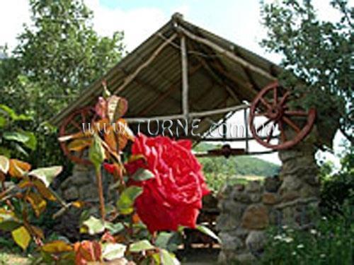 Фотографія Аллюр отель без категории