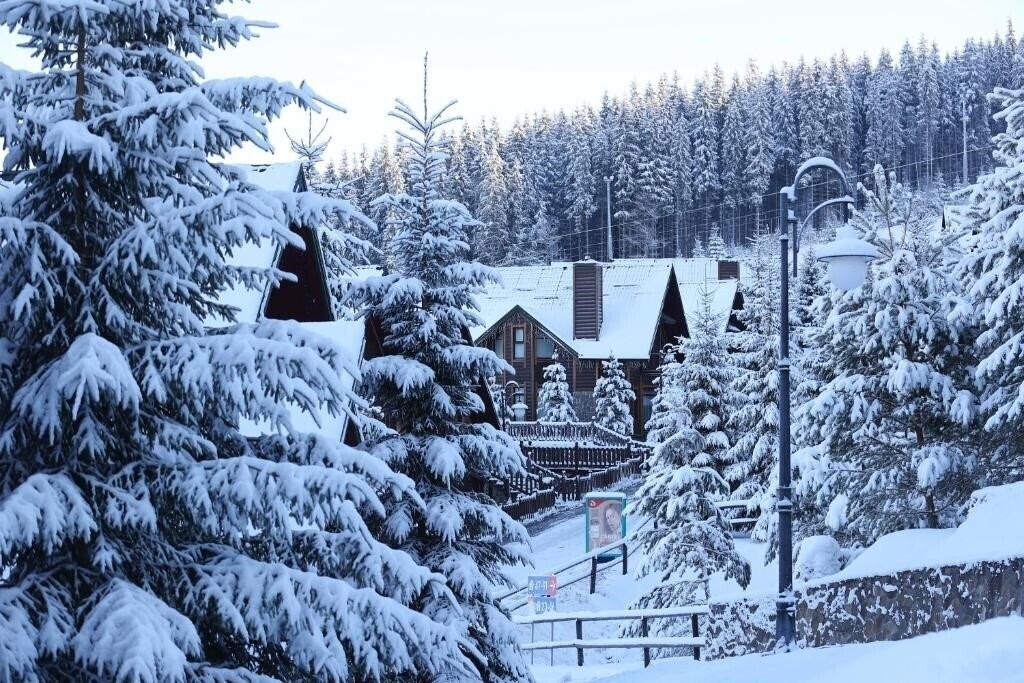 Изображение ТК Буковель отельный комплекс 