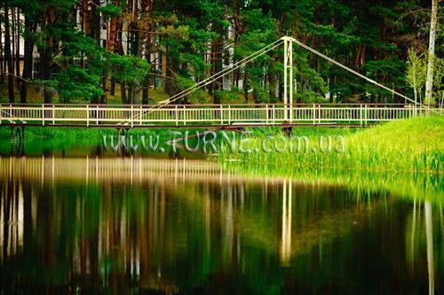 Отель Эко-отель ШишкiNN 4*