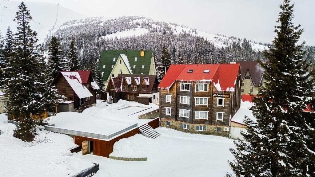 Отель Gremi Hotel 3*