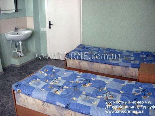 Отель Дом Творчества Художников Им. Коровина пансионат