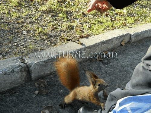 Зображення Шкло (Львовская Область) санаторий