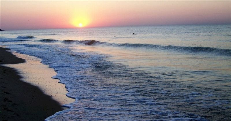 Картинка Апартаменты в Лузановке апартаменты