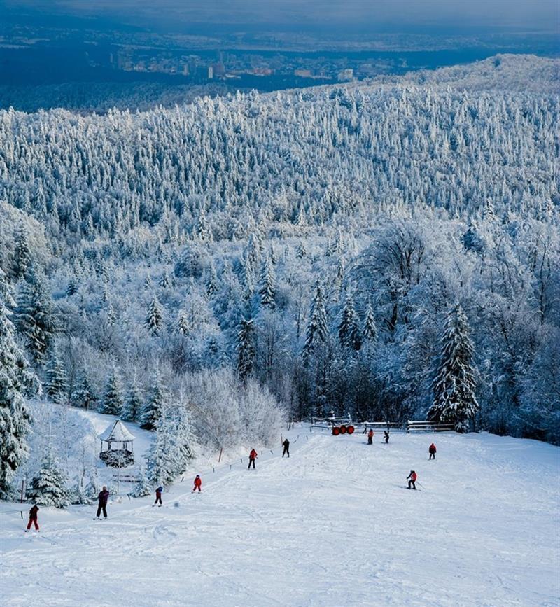 Отель Карпатские Полонины 3*