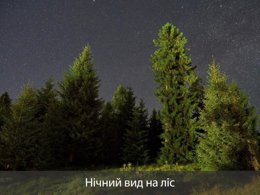 Зображення Villas Fomich 3*