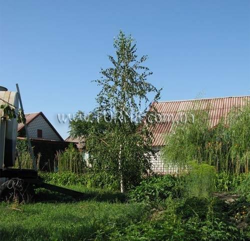 Готель Рыбачий база отдыха