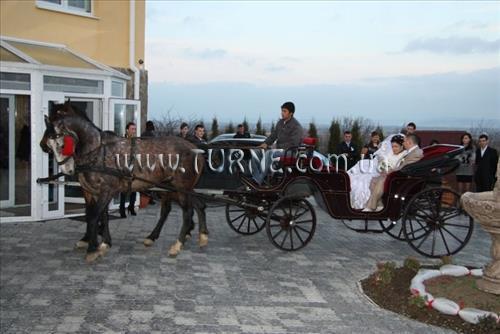 Зображення Благодать 3*