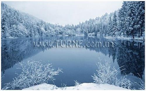 Фотографія Синевирское Озеро Бо база отдыха