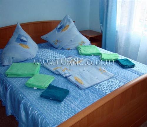 Отель Сходницкие Карпаты 1*