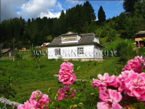 Картинка Усадьба Данчуков усадьба