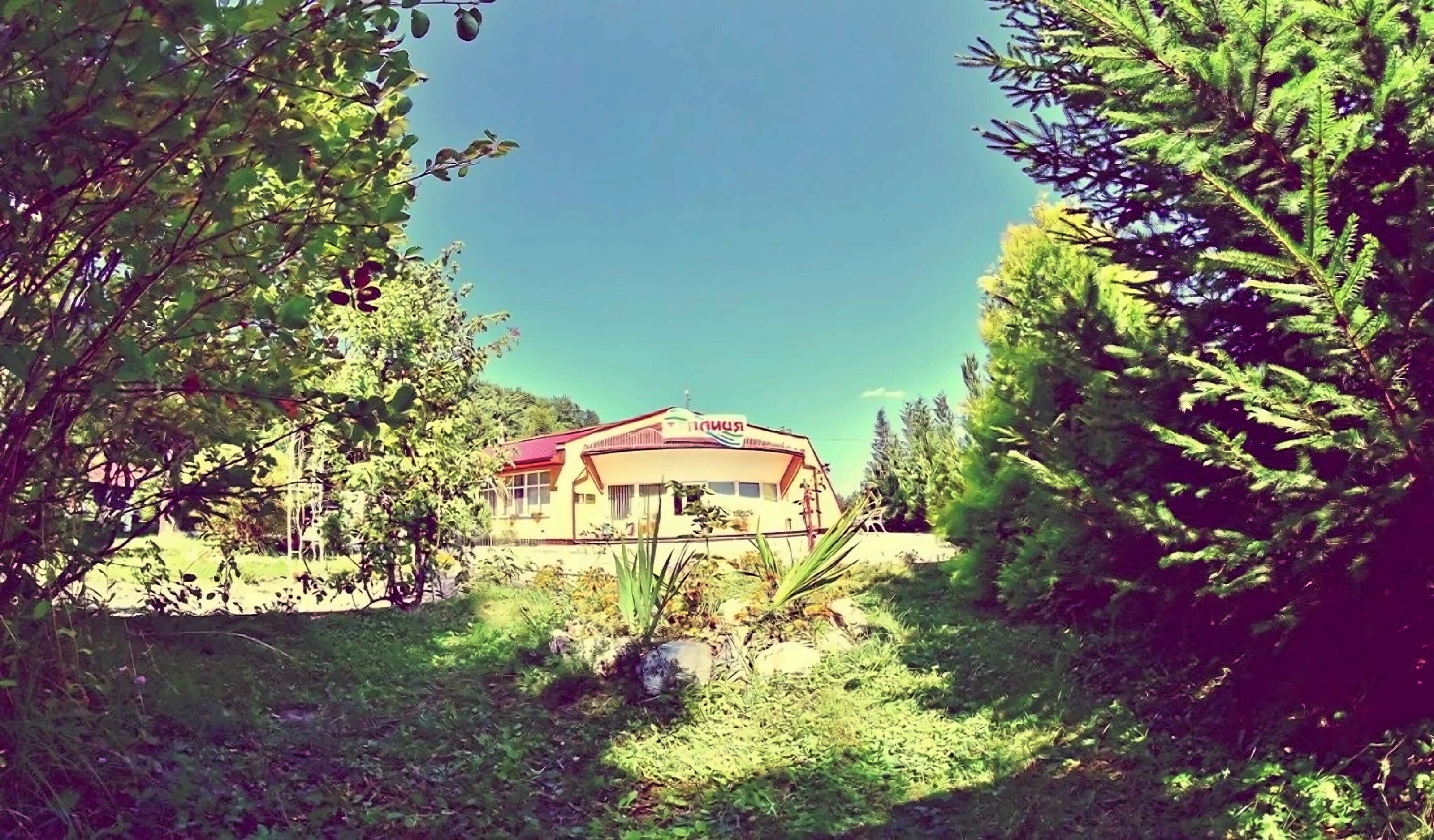 Фото Теплиця 3*