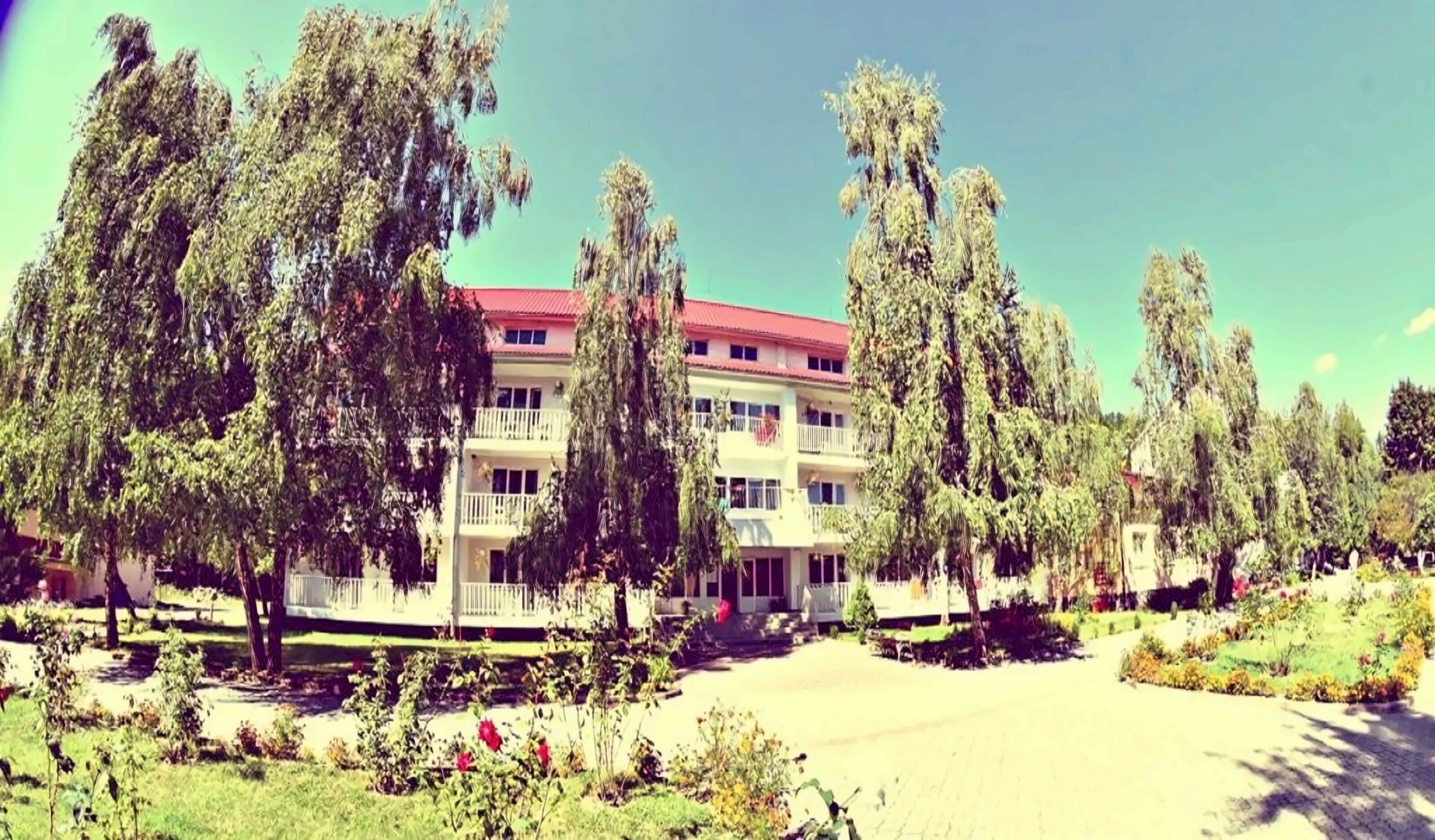 Картинка Теплиця 3*