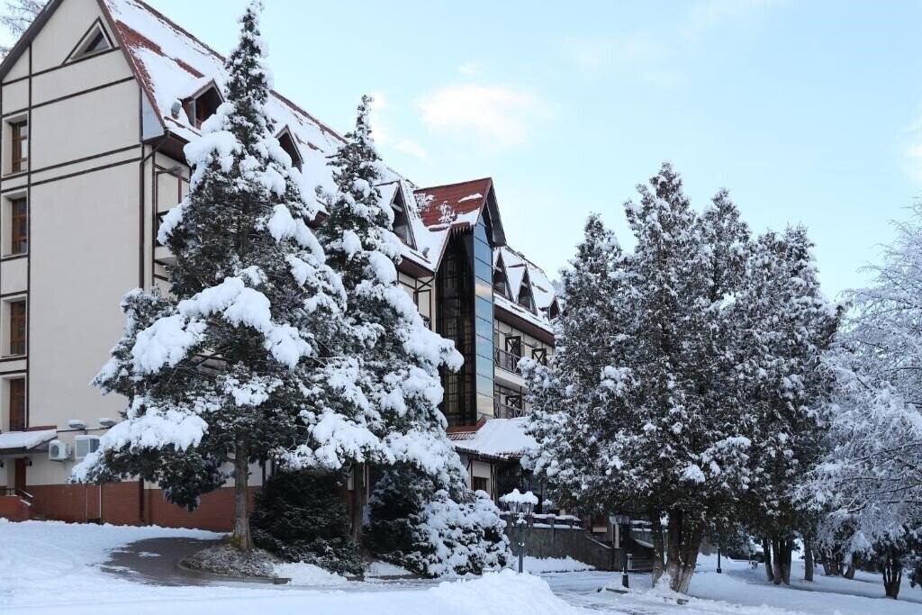 Картинка Эдельвейс 3*