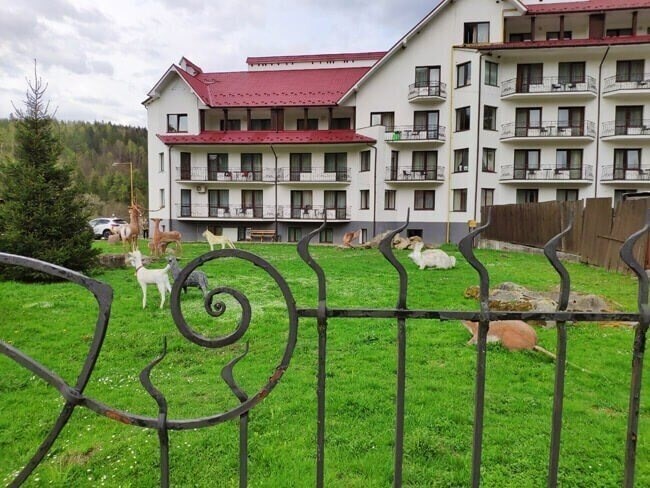 Фотография Карпаты 3*