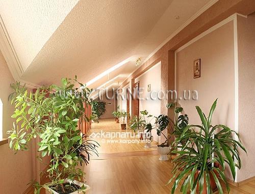 Зображення Геликон 3*