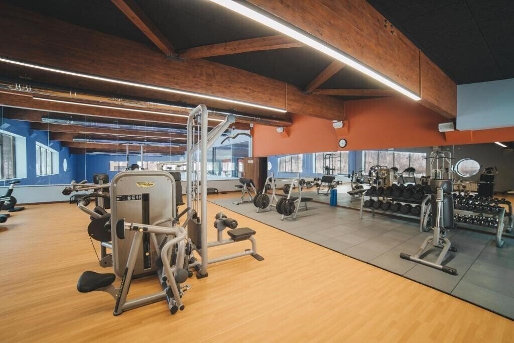 Картинка Ирис 4*