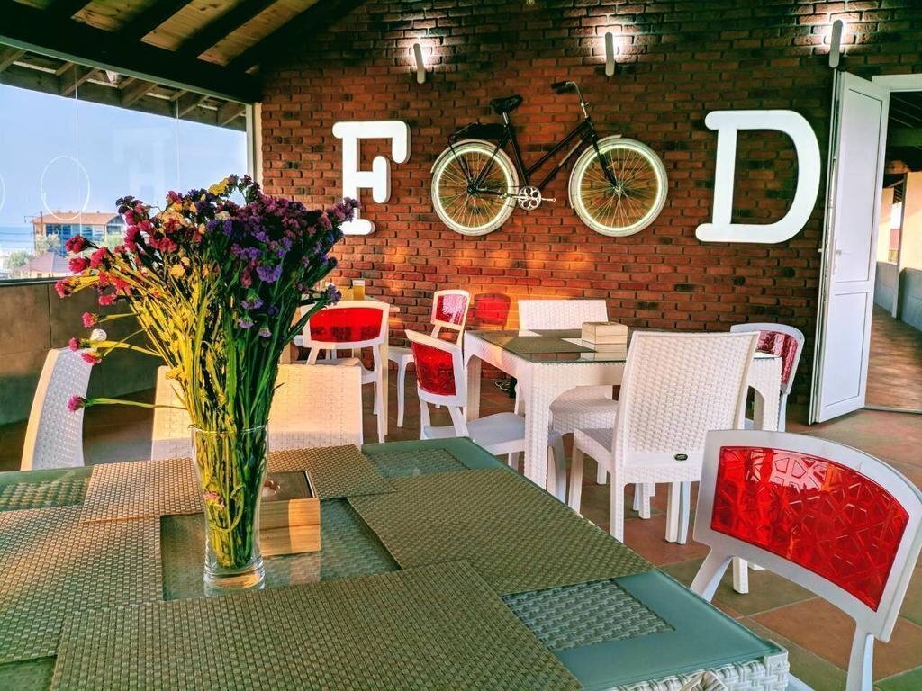 Изображение Каури 3*