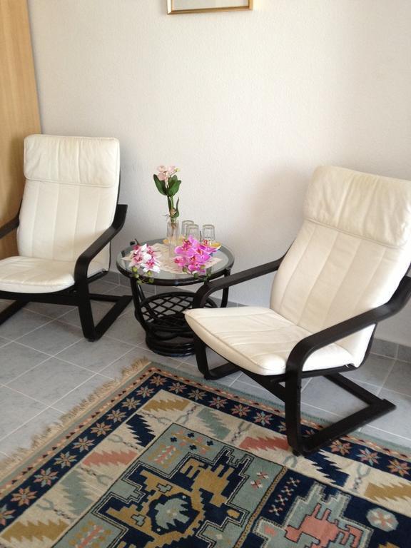 Картинка Timon 3*