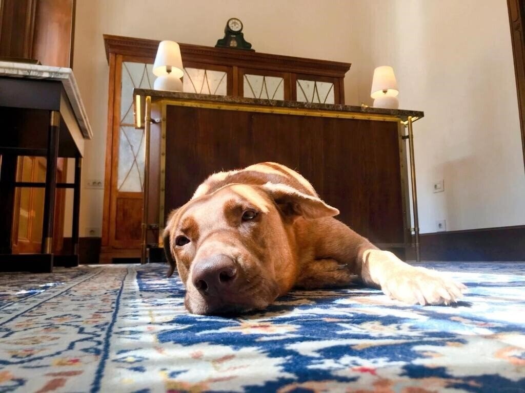 Изображение Callas House 4*