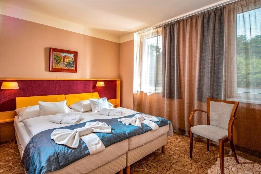 Отель Drava Hotel Thermal Resort 4*