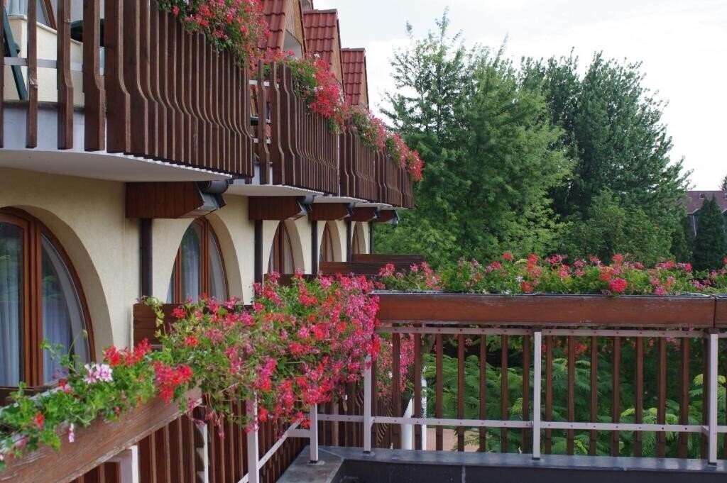 Изображение Agnes Hotel 3*