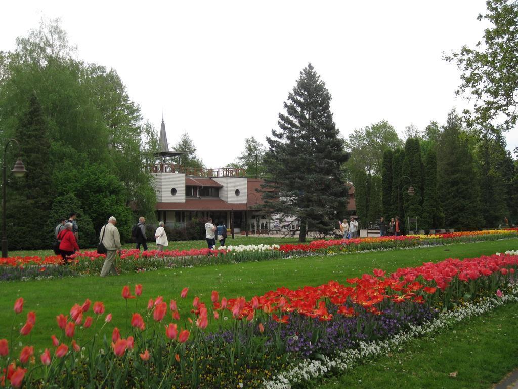 Картинка Sante Hotel 3*